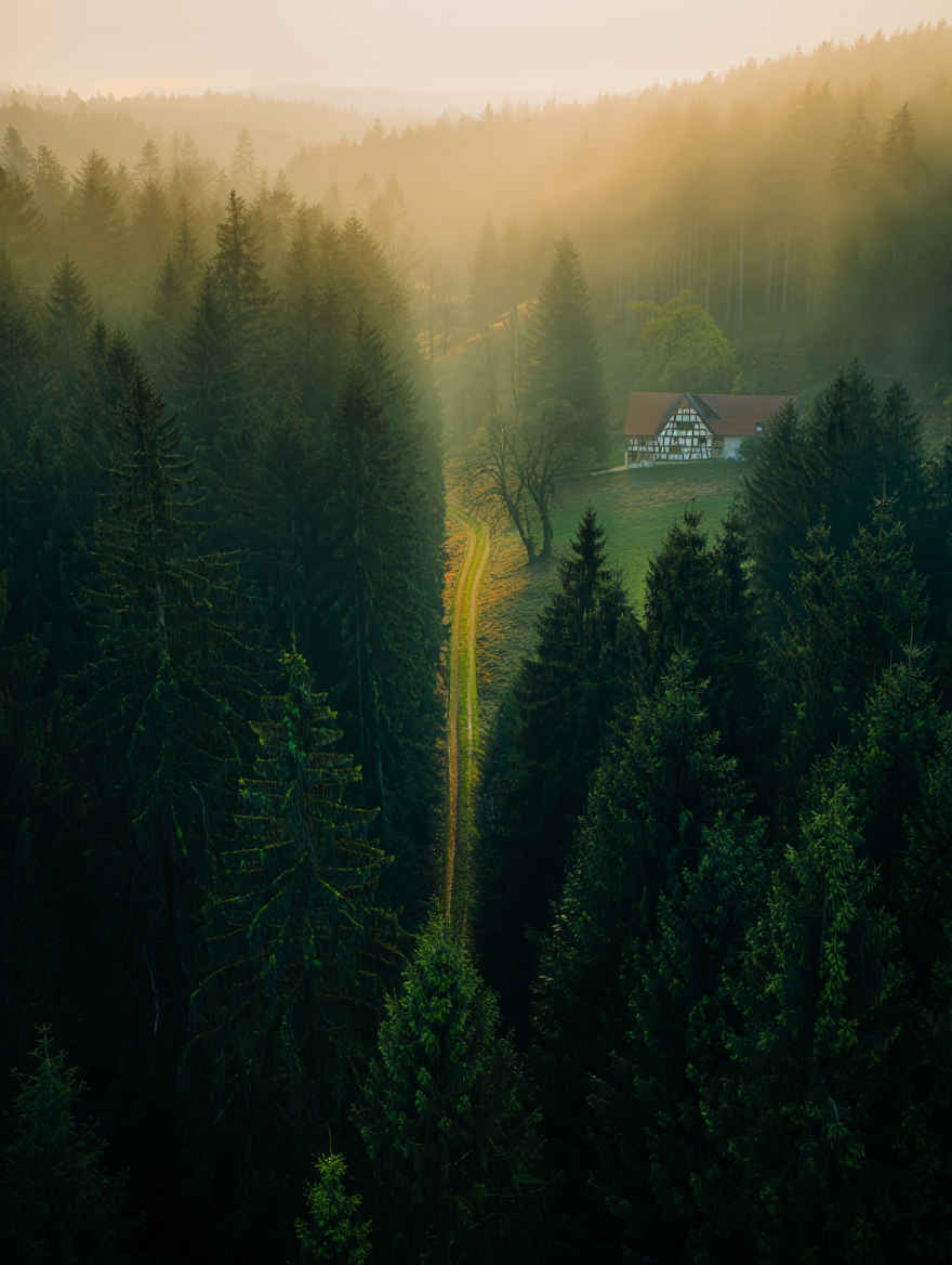 Schwarzwald — Dichte Wälder, malerische Täler und Schwarzwälder Kirschtorte